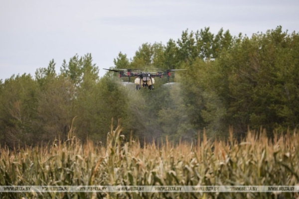 Мирный атом, переговоры в Кремле, инспекция на востоке и момент для Украины. Итоги недели Президента