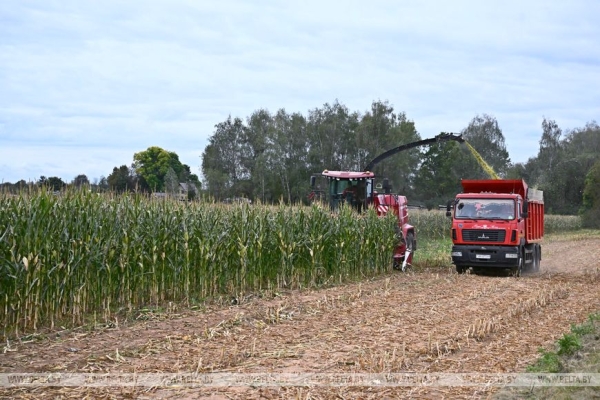 Мирный атом, переговоры в Кремле, инспекция на востоке и момент для Украины. Итоги недели Президента