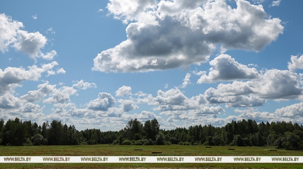 Жаркая с грозами погода ожидается в Беларуси 3 сентября 