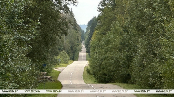 Уборка древесины, ремонт и озеленение. Какие работы по благоустройству проводят дорожники Минской области