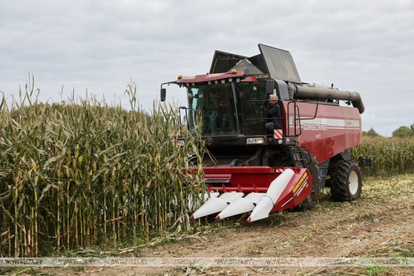 Ренессанс для "Городца", задачи для чиновников и идеальный завод. Итоги поездки Лукашенко в Шкловский район