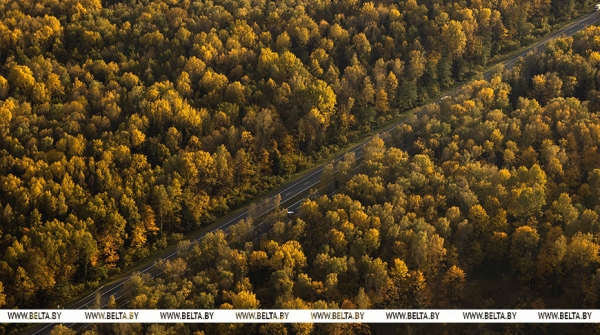 Опережающее развитие сферы услуг и качественные дороги. Турчин о задачах на следующие пять лет