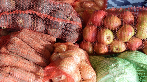 Будем в это межсезонье с картошкой и яблоками? Министр рассказал об урожае и закладке в стабфонды