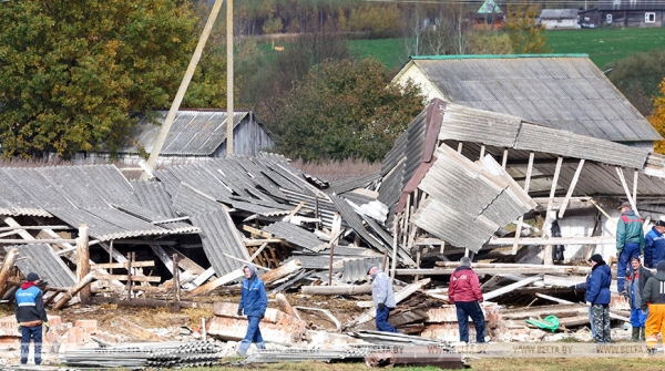 Поврежденные кровли, разрушенный телятник: в Могилевской области ликвидируют последствия сильного ветра