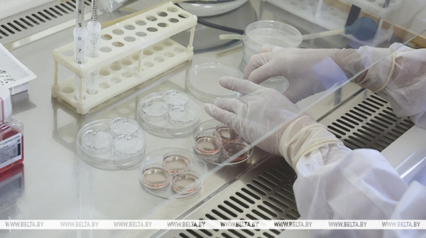 Вторую бесплатную попытку ЭКО могут начать предоставлять в Беларуси с 2026 года Вторую бесплатную попытку ЭКО могут начать предоставлять в Беларуси с 2026 года