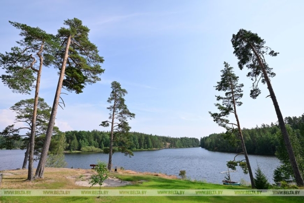 Стало известно, какой подарок Лукашенко подготовил Путину на день рождения