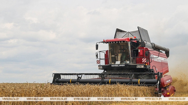 Почти 9,5 млн тонн зерна с рапсом и кукурузой собрали в Беларуси Почти 9,5 млн тонн зерна с рапсом и кукурузой собрали в Беларуси