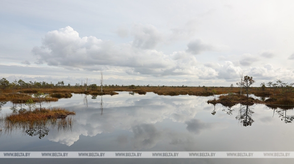 Удивительное по красоте место. Заказник "Ельня"