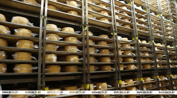 Беларусь планирует наращивать экспорт сельхозпродукции в африканский и азиатский регионы 