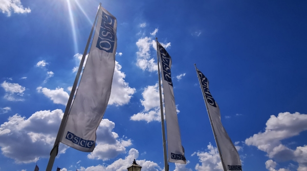 Дапкюнас: попытка игнорировать многоголосие и расхождение мнений в ОБСЕ - путь к разрушению организации