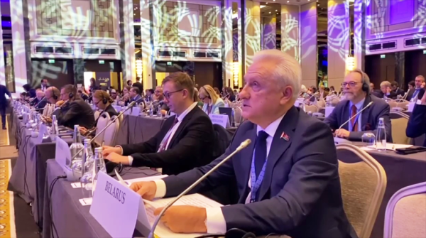 Беларусь на площадке ПА ОБСЕ предложила начать формирование новой евразийской архитектуры безопасности 