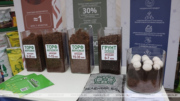 Об итогах торфяного сезона и перспективных направлениях использования торфа рассказали в Минэнерго 