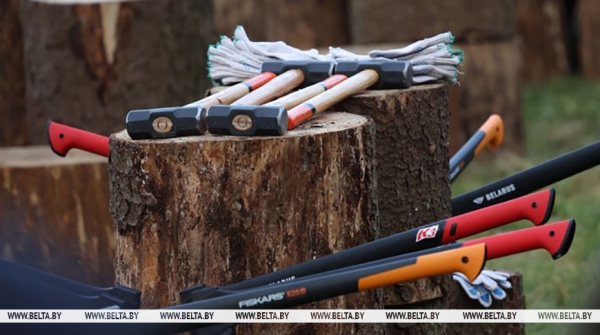 Лукашенко 7 ноября наколол дров и передал привет "доблестным журналистам"