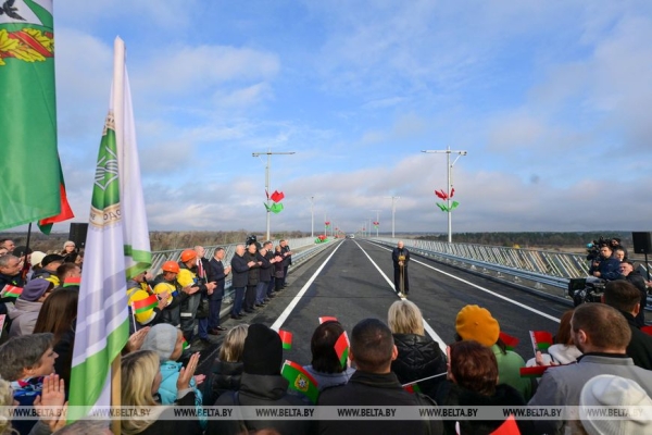 Работа на Полесье, подарок к 7 ноября, череда докладов и прогнозы на год. Итоги недели Президента