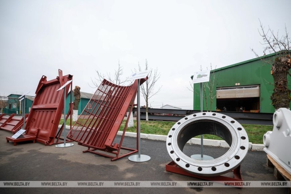 Работа на Полесье, подарок к 7 ноября, череда докладов и прогнозы на год. Итоги недели Президента