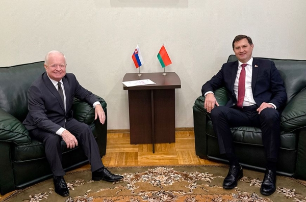 Белорусско-словацкое сотрудничество в политике и экономике обсудили на встрече в МИД