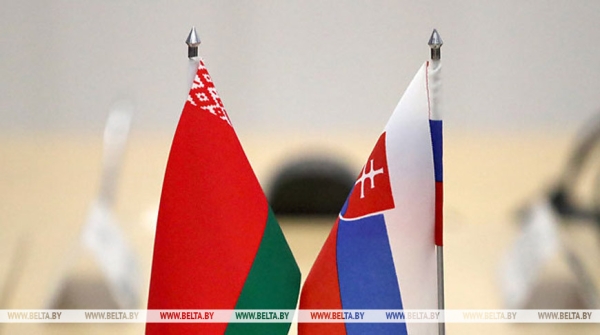 Белорусско-словацкое сотрудничество в политике и экономике обсудили на встрече в МИД