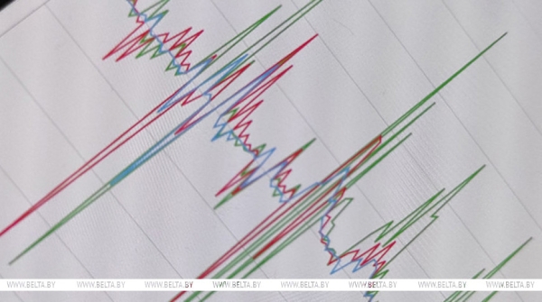 В турецкой провинции Балыкесир произошло землетрясение магнитудой 4,9
