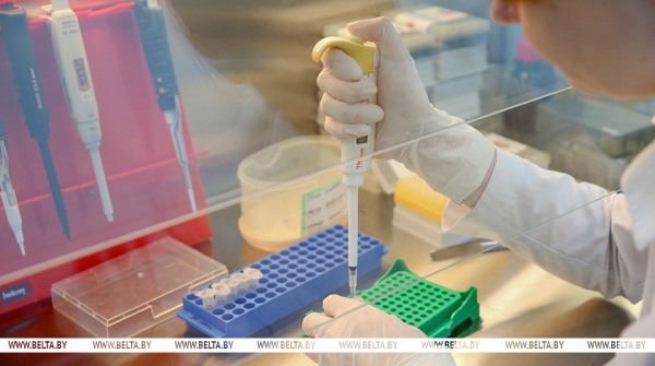 Когда и каким будет следующий сезон гриппа?