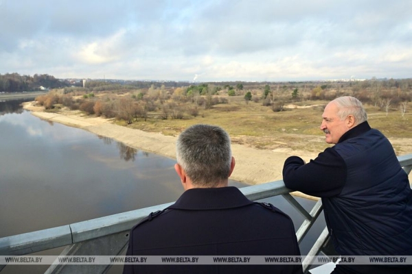 Работа на Полесье, подарок к 7 ноября, череда докладов и прогнозы на год. Итоги недели Президента