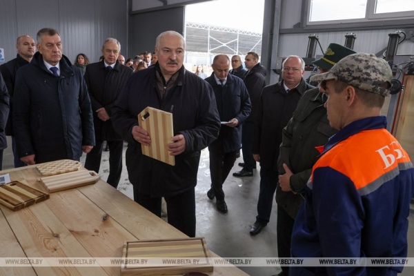Лукашенко поручил тиражировать в Беларуси небольшие производства по переработке древесины