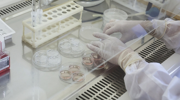 Первый человек в мире умер от птичьего гриппа H5N5 