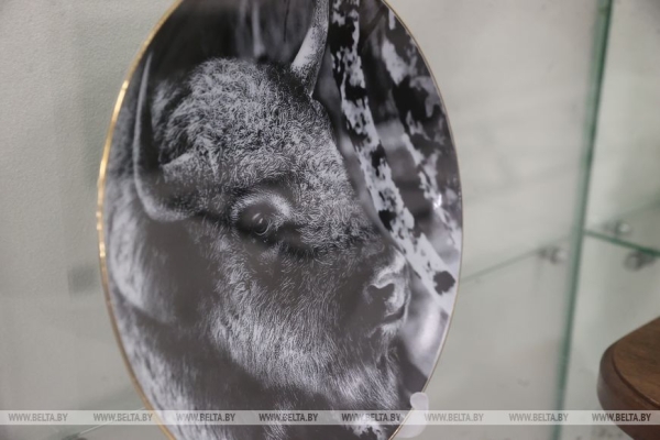 Музей с уникальной коллекцией зубров появился в Бресте