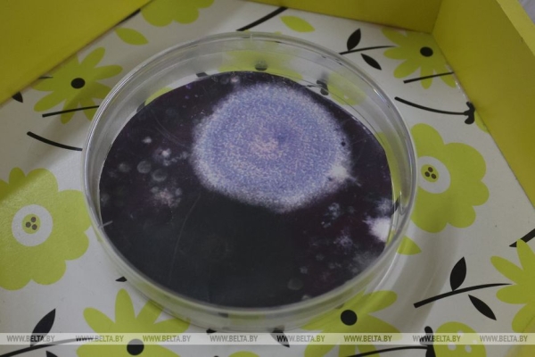 Ферменты для биосенсоров, кормовые добавки и удобрения. Что белорусские микробиологи поставляют на экспорт Ферменты для биосенсоров, кормовые добавки и удобрения. Что белорусские микробиологи поставляют на экспорт