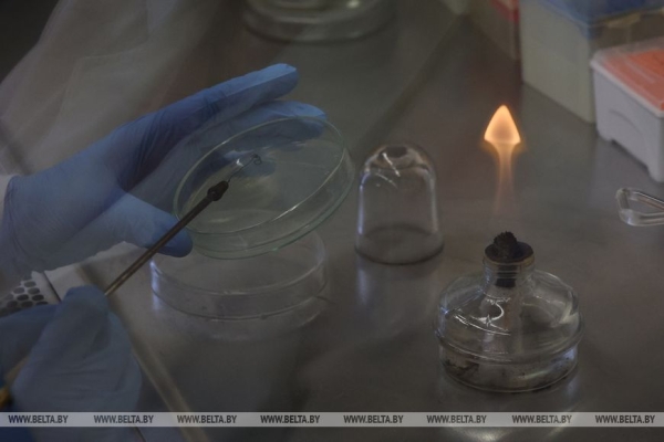 Ферменты для биосенсоров, кормовые добавки и удобрения. Что белорусские микробиологи поставляют на экспорт Ферменты для биосенсоров, кормовые добавки и удобрения. Что белорусские микробиологи поставляют на экспорт