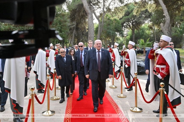 Лукашенко уверен, что Беларусь и Алжир смогут значительно нарастить товарооборот