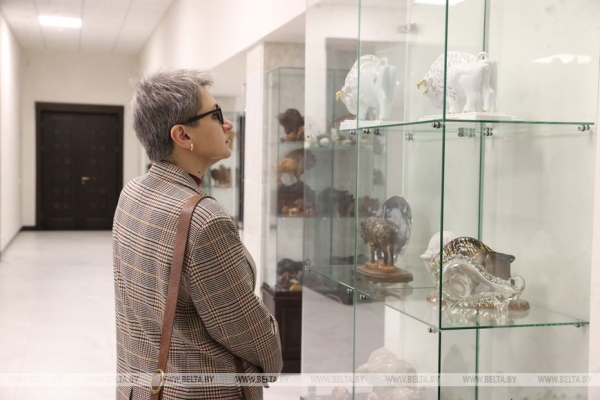 Музей с уникальной коллекцией зубров появился в Бресте