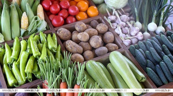 Будем с овощами? МАРТ об обеспечении продукцией в межсезонный период