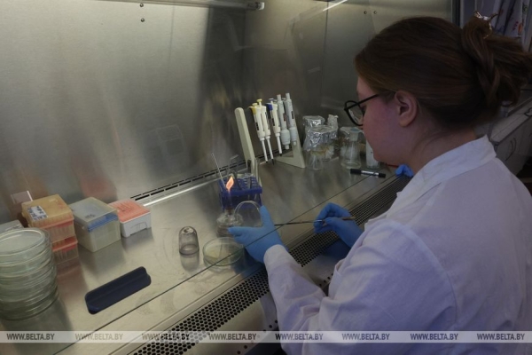 Ферменты для биосенсоров, кормовые добавки и удобрения. Что белорусские микробиологи поставляют на экспорт Ферменты для биосенсоров, кормовые добавки и удобрения. Что белорусские микробиологи поставляют на экспорт