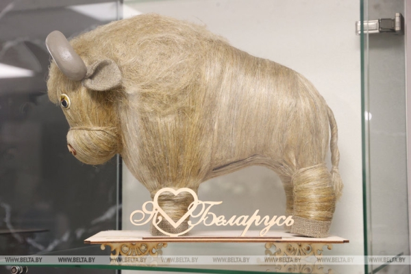 Музей с уникальной коллекцией зубров появился в Бресте