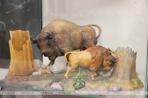 Музей с уникальной коллекцией зубров появился в Бресте