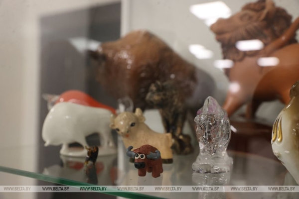 Музей с уникальной коллекцией зубров появился в Бресте