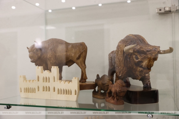 Музей с уникальной коллекцией зубров появился в Бресте