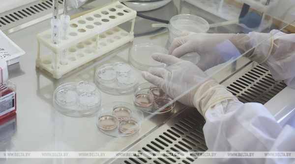 В Конго зафиксирована крупнейшая за 25 лет вспышка холеры