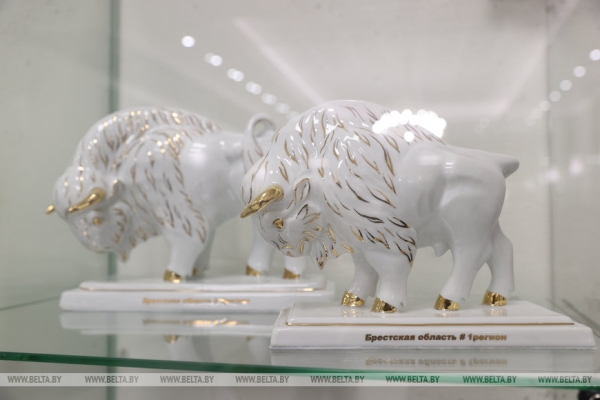 Музей с уникальной коллекцией зубров появился в Бресте