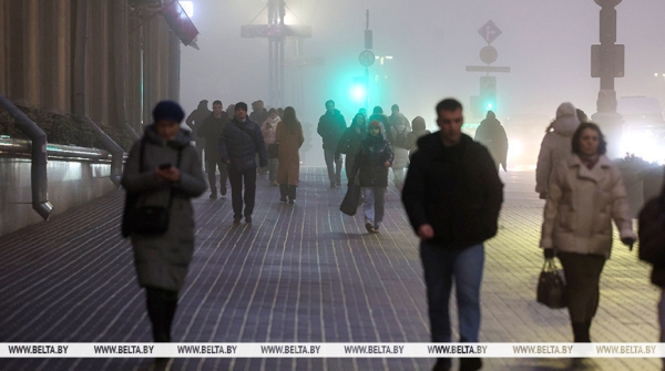 Правительство утвердило программу статистических работ на 2026 год Правительство утвердило программу статистических работ на 2026 год